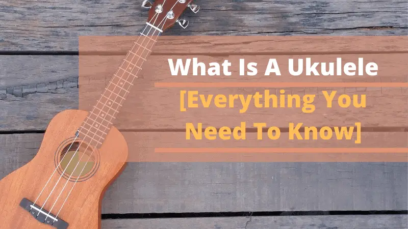 What Is A Ukulele