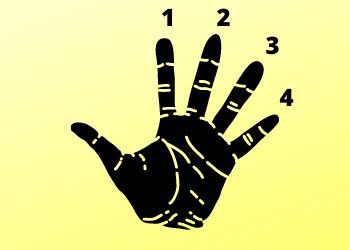 The Order Of Fingers Labeled In A Chord Diagram