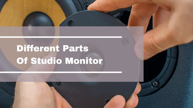 Different Parts Of Studio Monitors