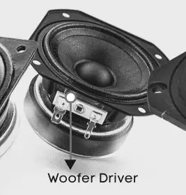 Woofer Driver