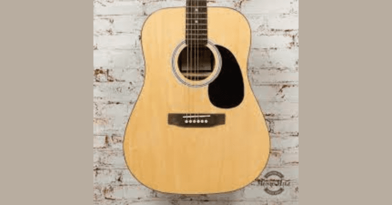 Are Johnson Acoustic Guitars Good