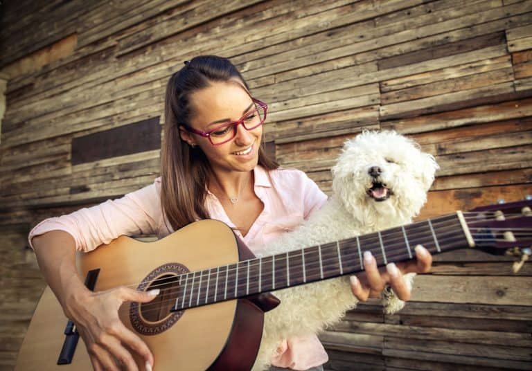 Do Dogs Like Acoustic Guitar