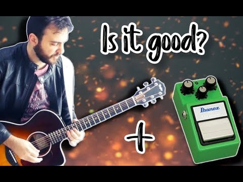 Can You Distort an Acoustic Guitar