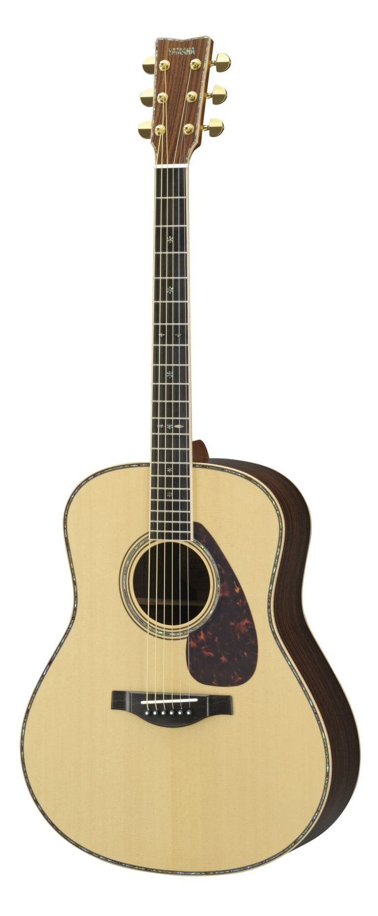 Where are Acoustic Guitars from