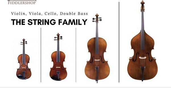 Are Cello And Bass Guitar the Same