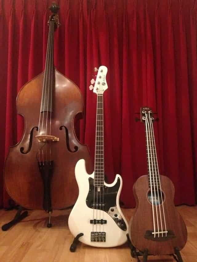 Are Double Bass And Bass Guitar Tuned The Same | INS.