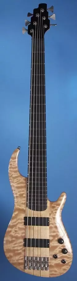 How Low Can a Bass Guitar Be Tuned