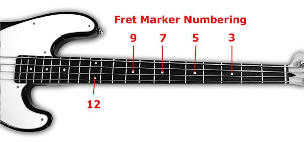 How Many Frets are on a Bass Guitar
