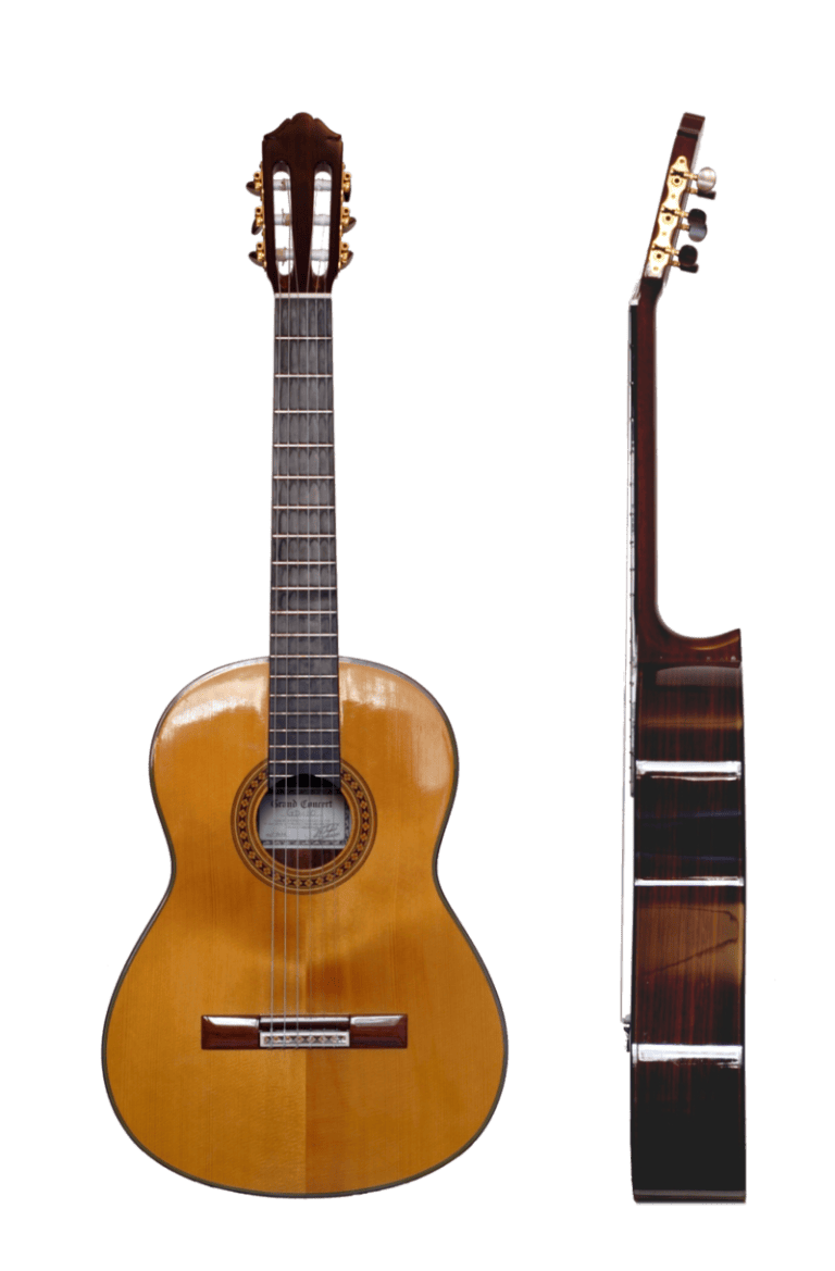 How Many Types of Classical Guitar