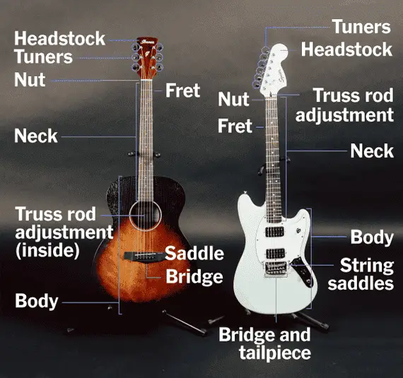 How Much Does It Cost To Build A Bass Guitar INS.