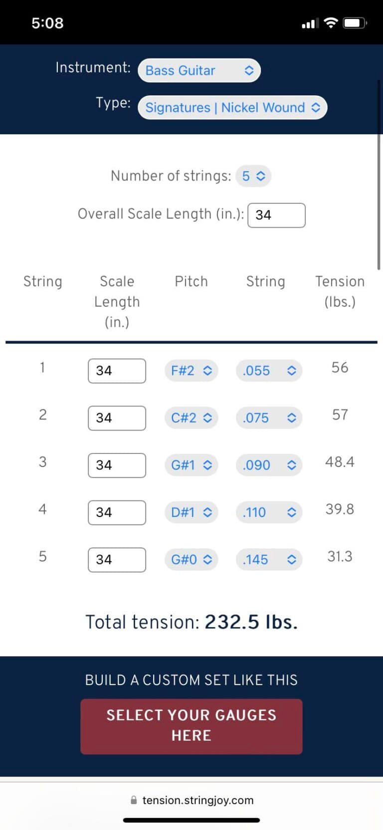 How Much Tension is on a Bass Guitar Neck