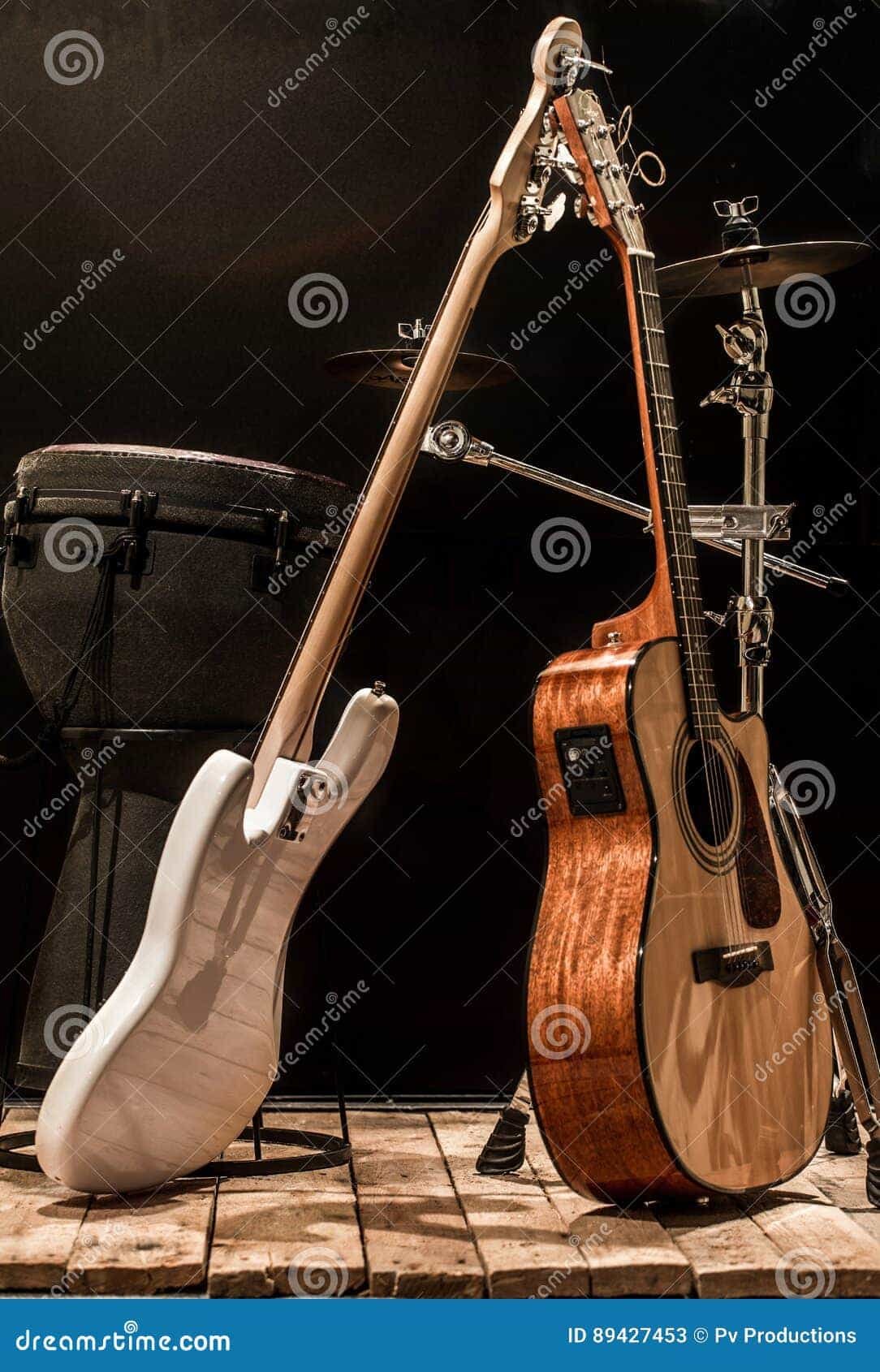 Is Bass Guitar A Percussion Instrument INS.