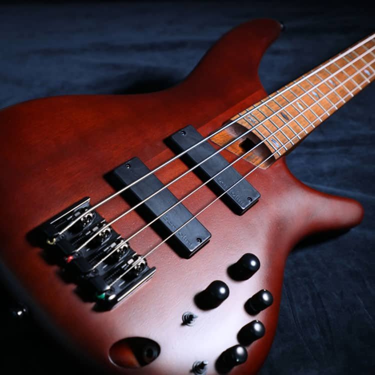 Is Ibanez a Bass Guitar