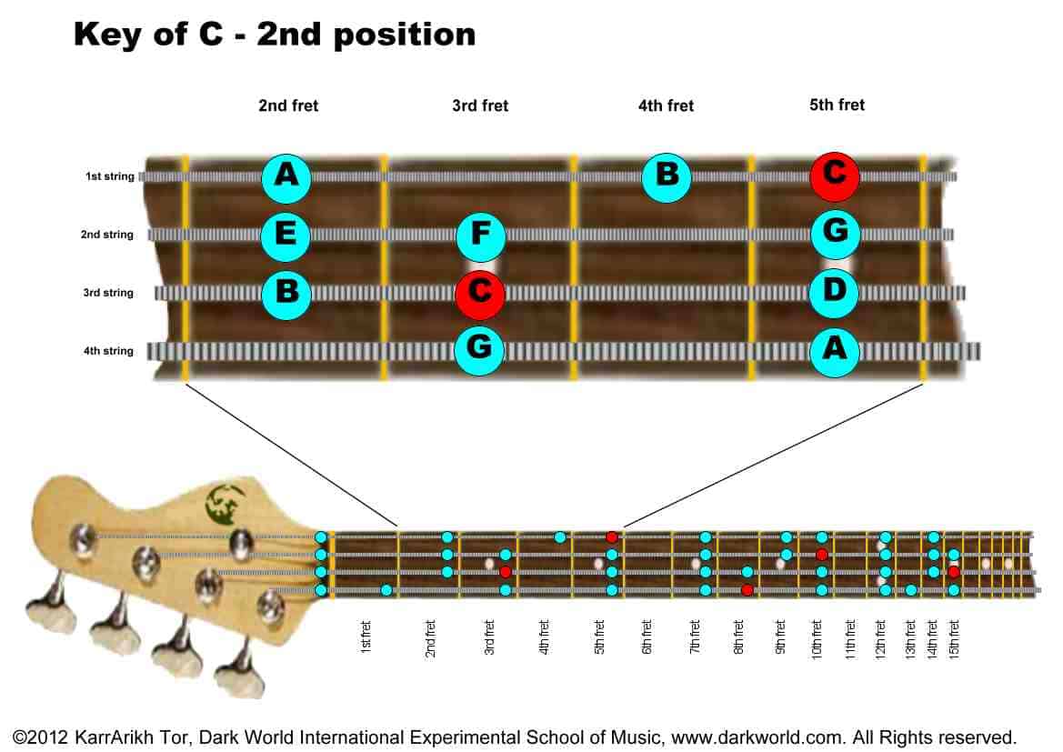 What Are The Major Keys On The Bass Guitar | INS.