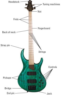 What are the Parts of a Bass Guitar