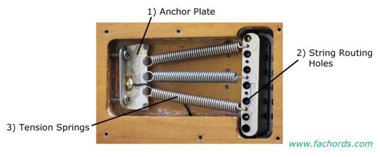 What are the Springs in the Back of an Electric Guitar