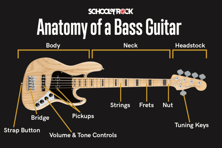 What Instruments are Used in Bass Guitar
