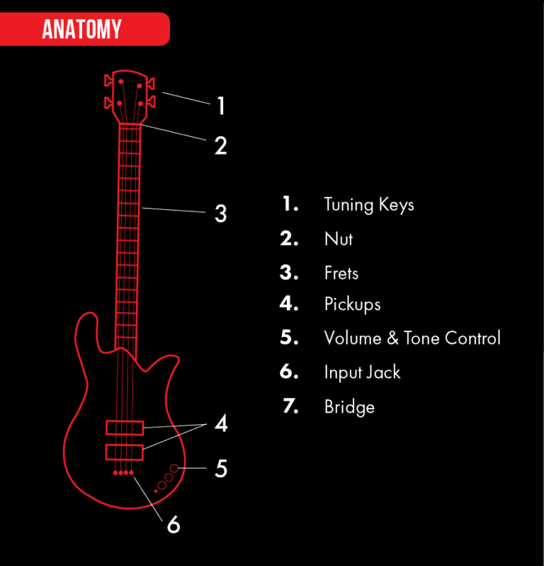 What is a Bass Guitar Made of