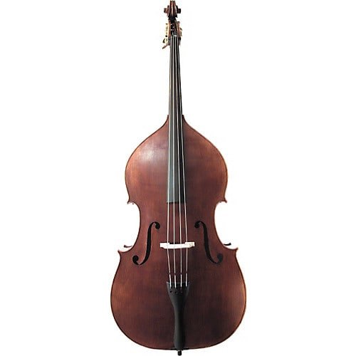 What is a Big Bass Guitar Called