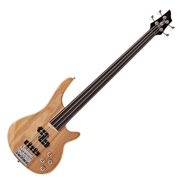 What is a Fretless Bass Guitar