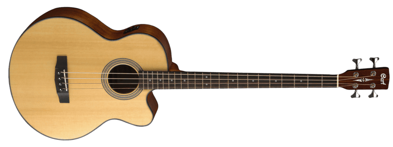 What is an Acoustic Bass Guitar