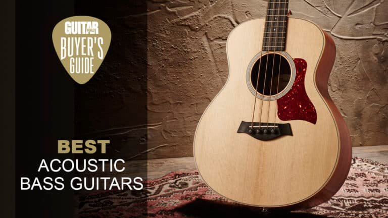 What is the Best Acoustic Bass Guitar
