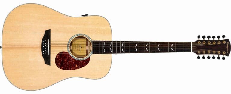 Why Does My Electric Guitar Echo