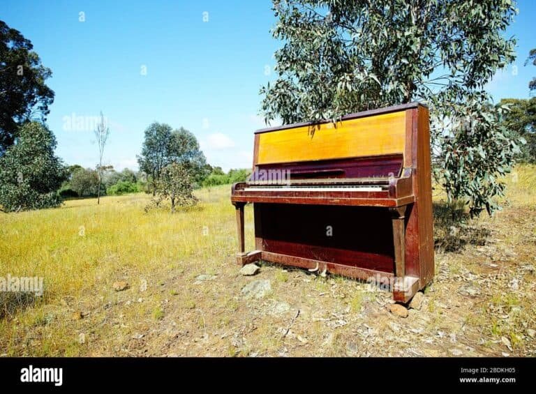 Can a Piano Be Kept Outside