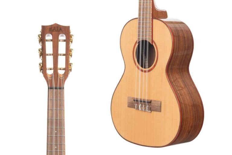 Can a Ukulele Have 8 Strings