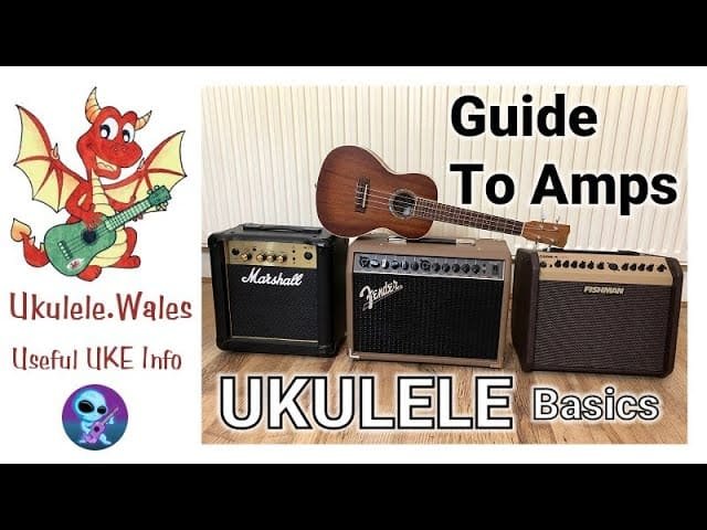 Can You Use a Guitar Amp for a Ukulele