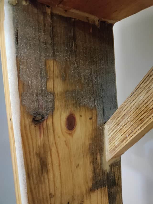 Can You Use Linseed Oil on Piano