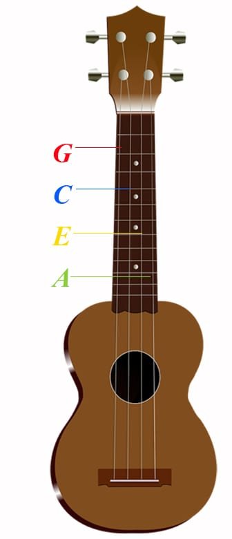 Do I Need a Tuner for My Ukulele