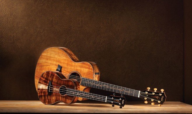Does Taylor Make a Ukulele
