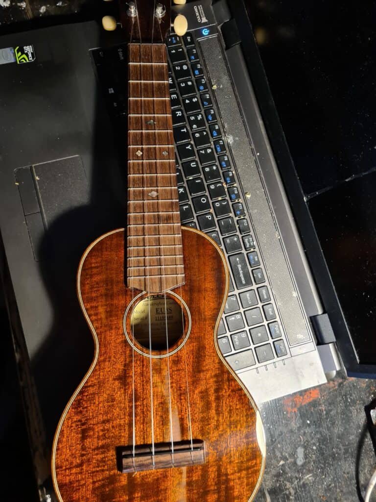 How Many Ukuleles Do You Have