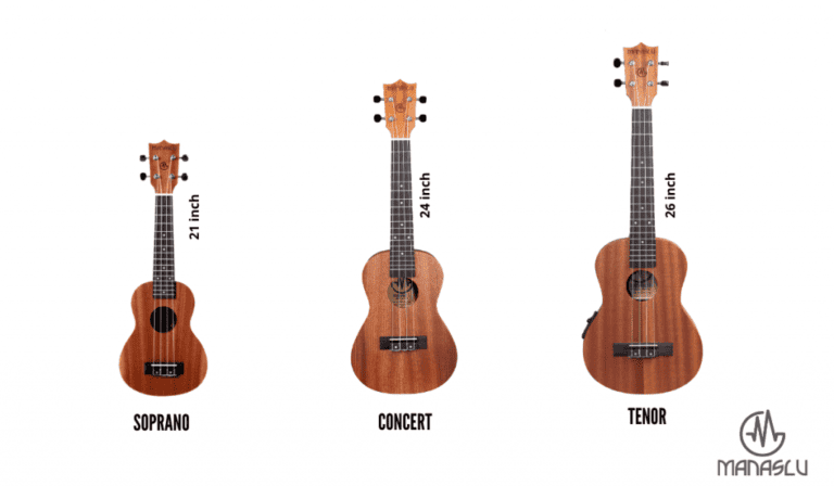 How Much Does a Ukulele Cost in Nepal