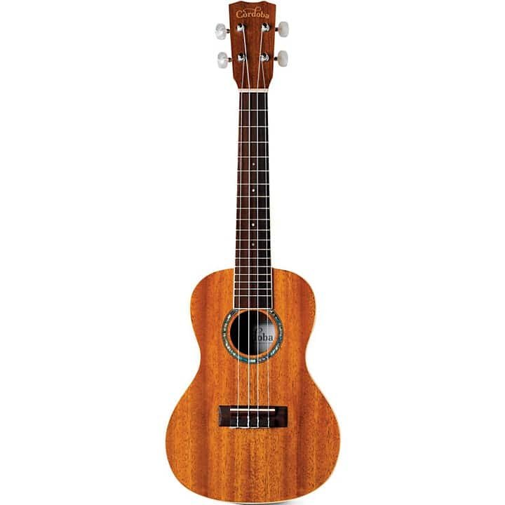 How Much is a Ukulele at the Guitar Center