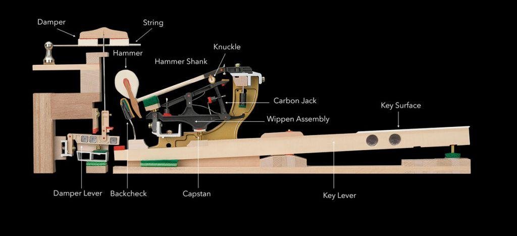 How Piano Hammers Work | INS.