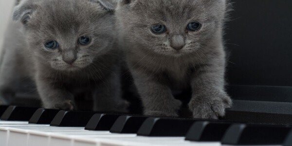 Is Silent Piano Good