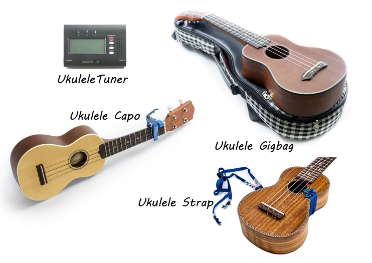 What Accessories Do I Need For A Ukulele | INS.