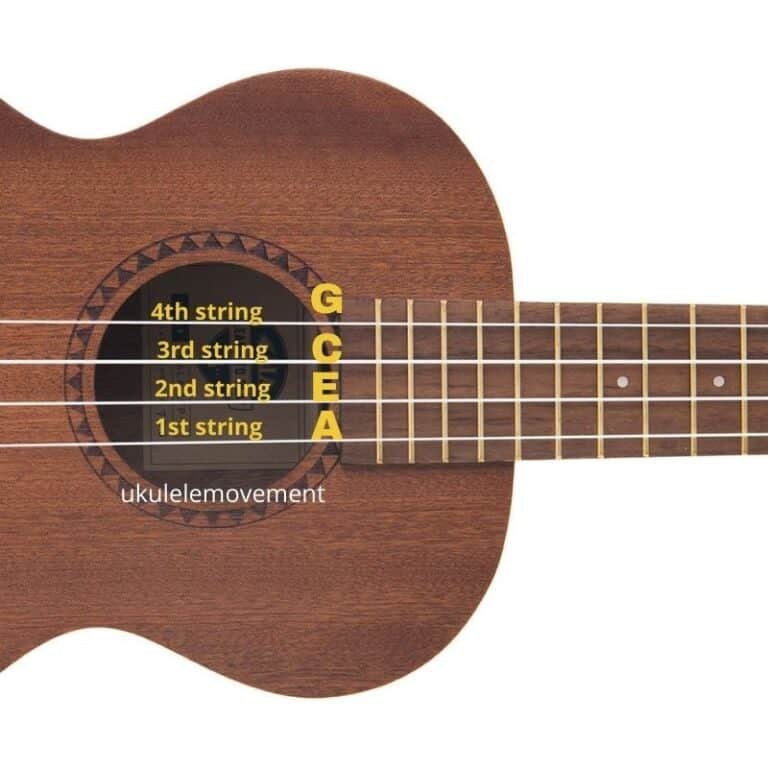 What are the Strings on a Concert Ukulele