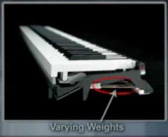 What Does It Mean When Piano Keys are Weighted