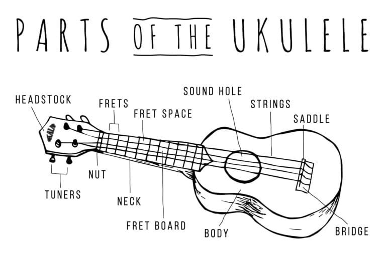 What Does the Nut Do on a Ukulele