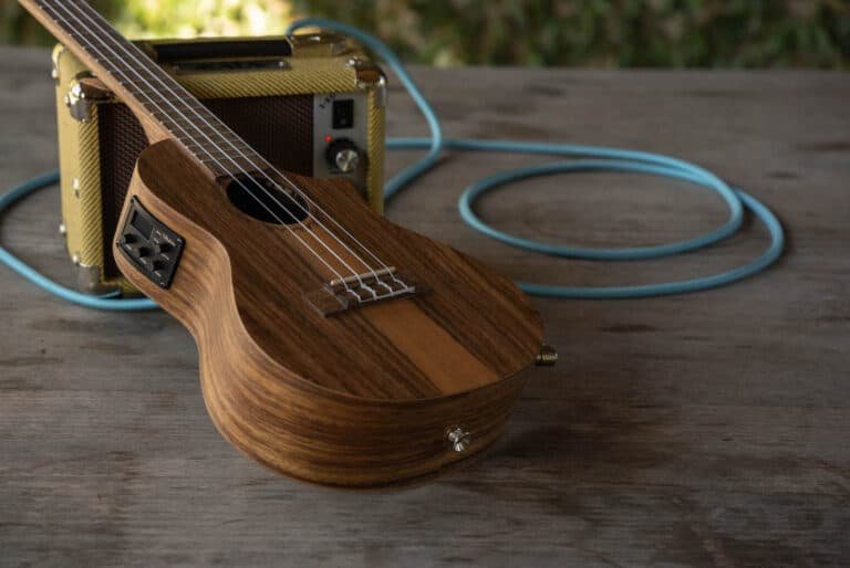 What is an Acoustic Electric Ukulele