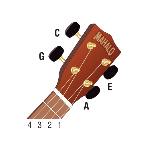 What is the Tuning for a Soprano Ukulele