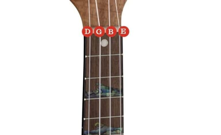 What is the Tuning for a Tenor Ukulele
