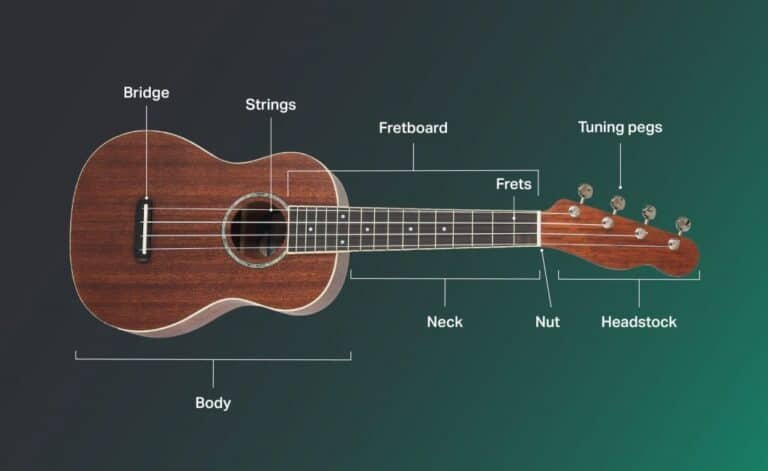 Where to Learn Ukulele
