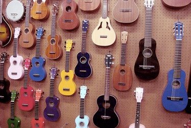 Why Buy a Ukulele