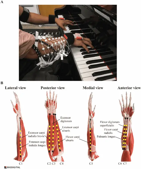 why-does-my-forearm-hurt-when-i-play-piano-ins