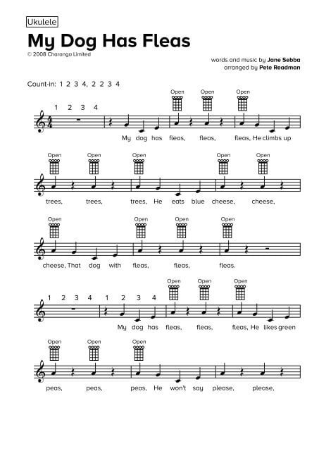 Why My Dog Has Fleas Ukulele