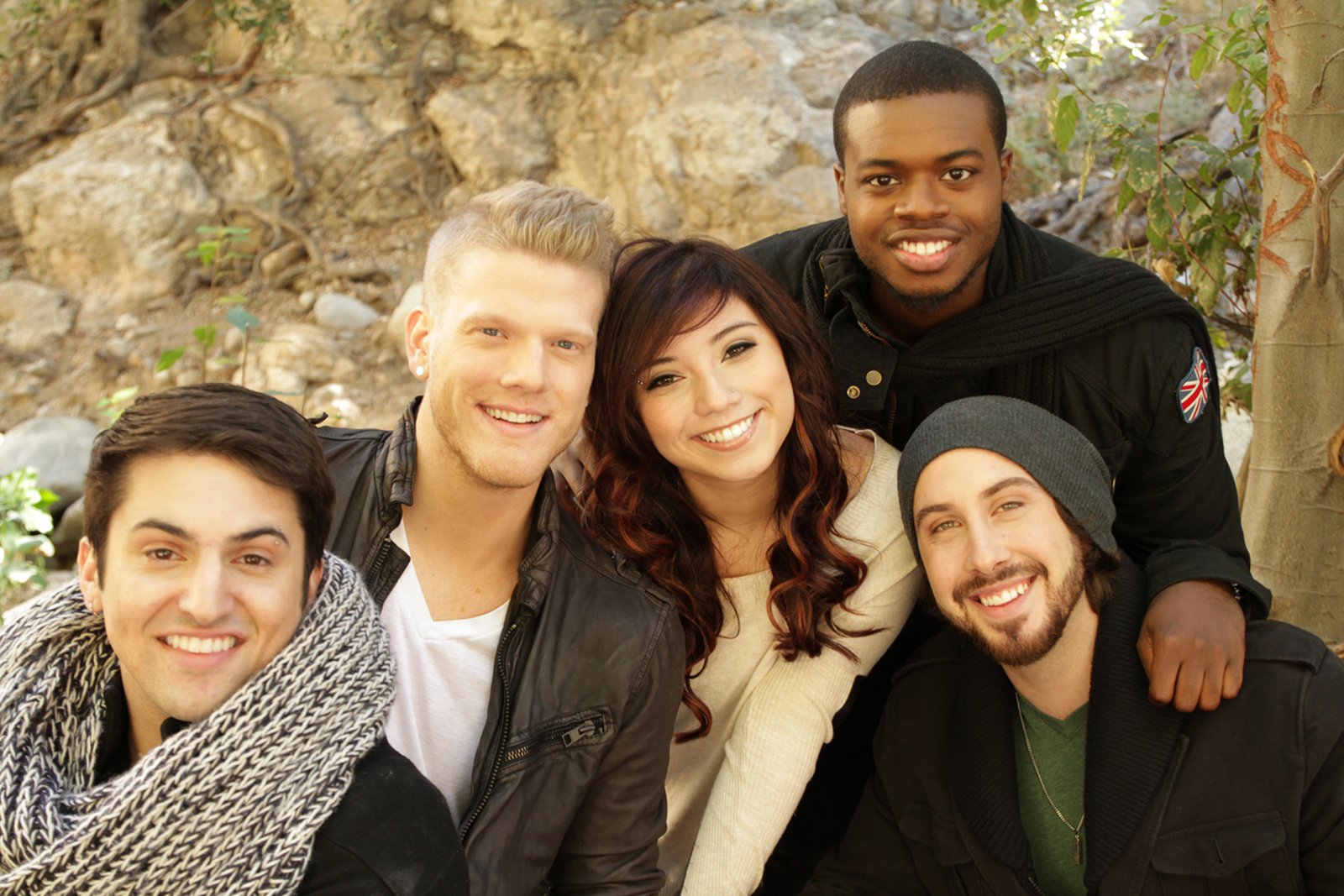 Many String Instruments Does Pentatonix Use Drums | Insights Of Musical Instruments